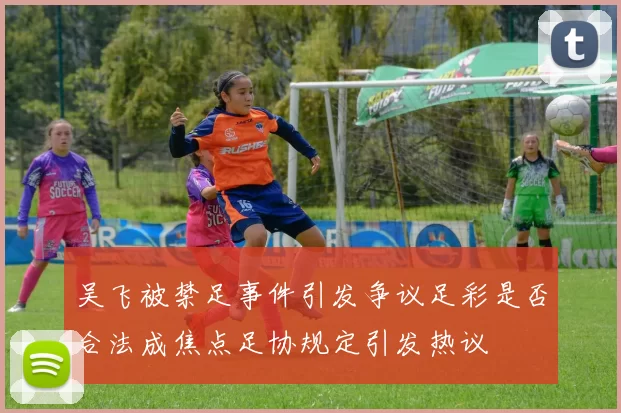 吴飞被禁足事件引发争议足彩是否合法成焦点足协规定引发热议